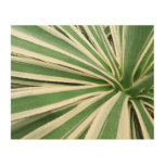Agave Plant Green and White Striped Wood Wall Decor