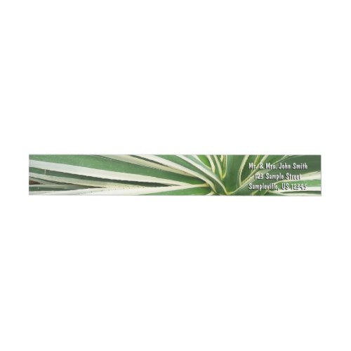 Agave Plant Green and White Striped Wrap Around Label
