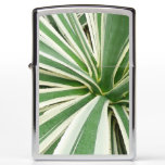 Agave Plant Green and White Striped Zippo Lighter