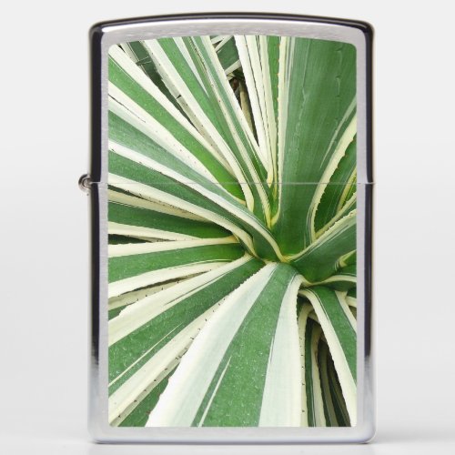 Agave Plant Green and White Striped Zippo Lighter