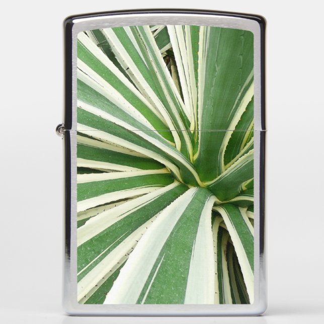 Agave Plant Green and White Striped Zippo Lighter (Front)