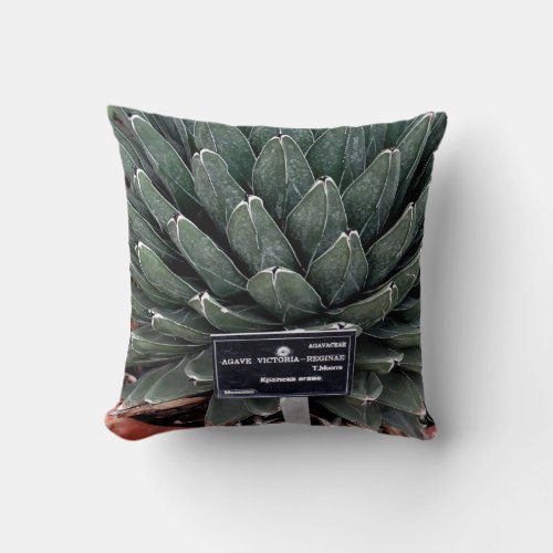 Agave Plant Photo Throw Cushion 41 cm x 41 cm