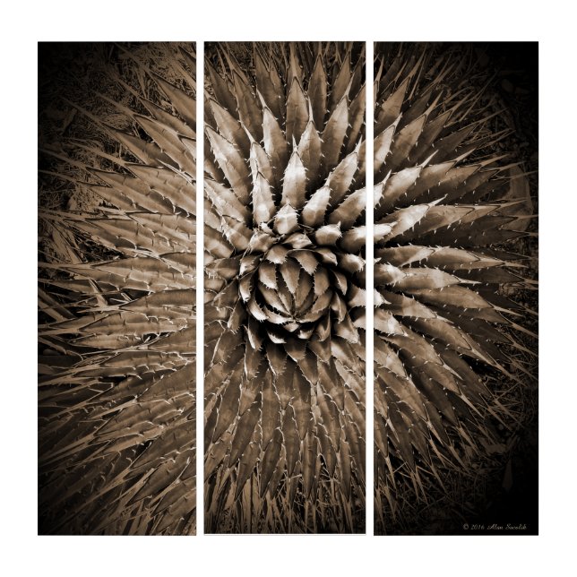 Agave Sepia Brown Tan Modern Southwest Acrylic Triptych (Front)