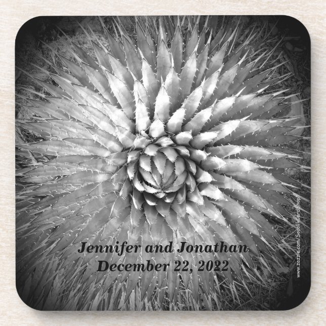 Agave Spikes Personalized Name B&W Set of 6  Coaster (Front)