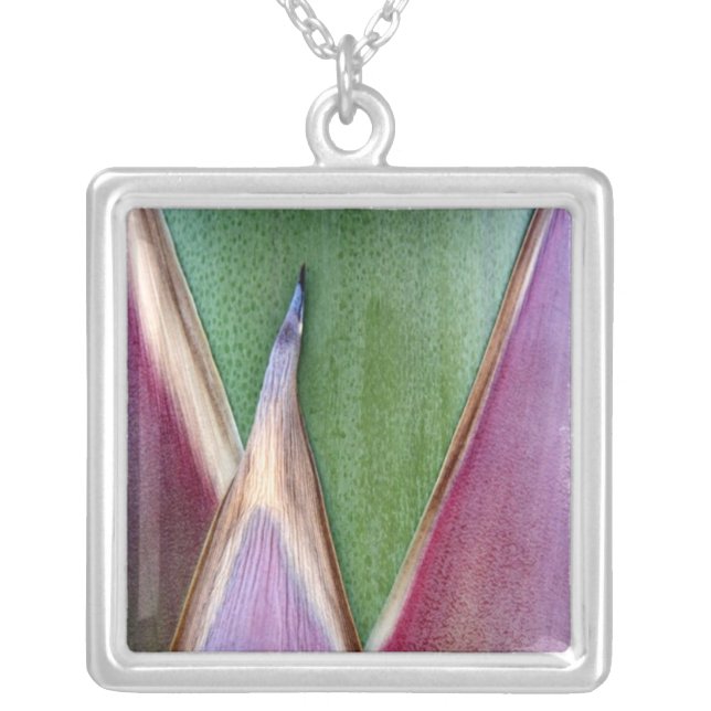 Agave Stalk Silver Plated Necklace (Front)