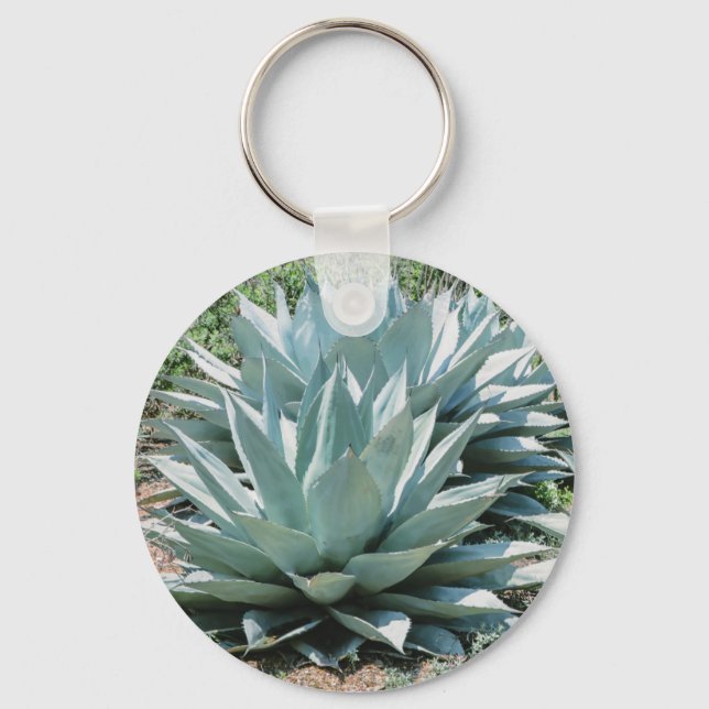Agave Succulent Plant Cactus Green sage Keychain (Front)