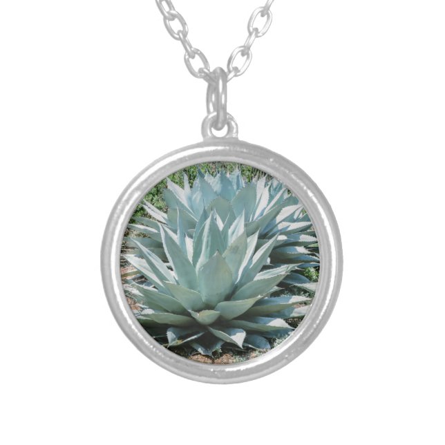 Agave Succulent Plant Cactus Green sage Silver Plated Necklace (Front)
