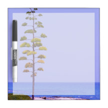 Agave Tree -