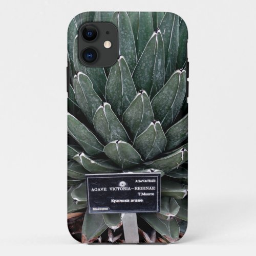 Agave Victoria Photo iPhone SE  iPhone 55S iPhone 11 Case