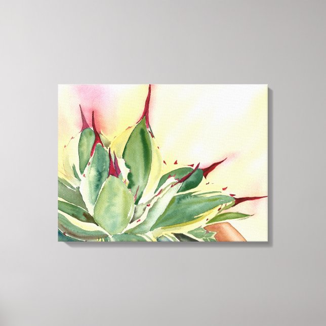 Agave Watercolor by Debra Lee Baldwin Canvas Print (Front)