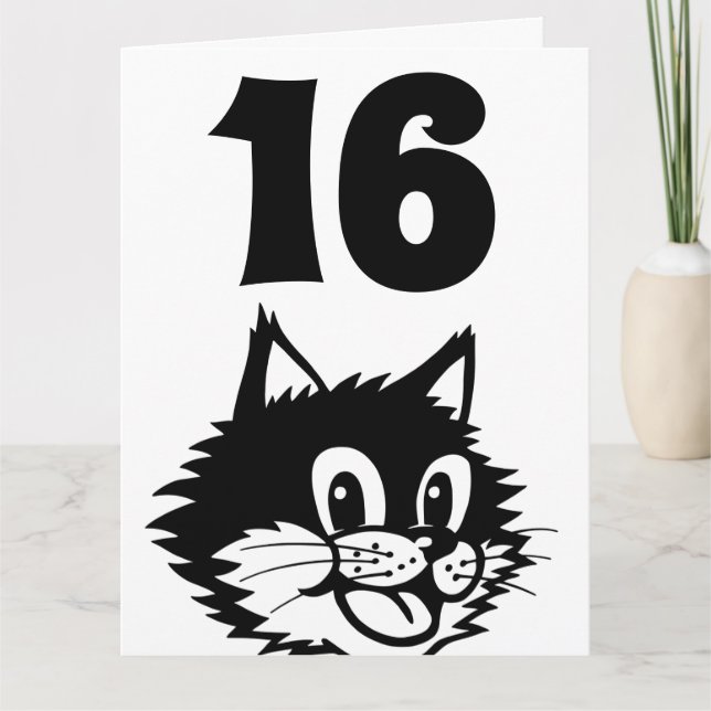 AGE 16 BIRTHDAY CAT CARD (Front)