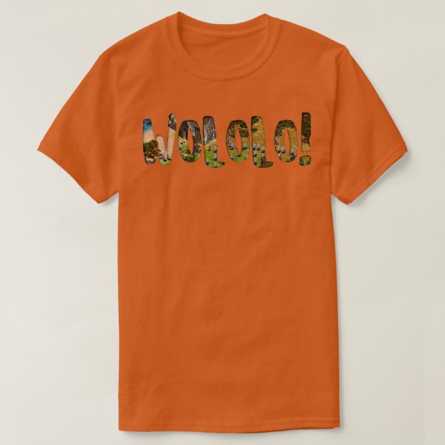 Age of Empires WOLOLO Landscape T-Shirt (Design Front)