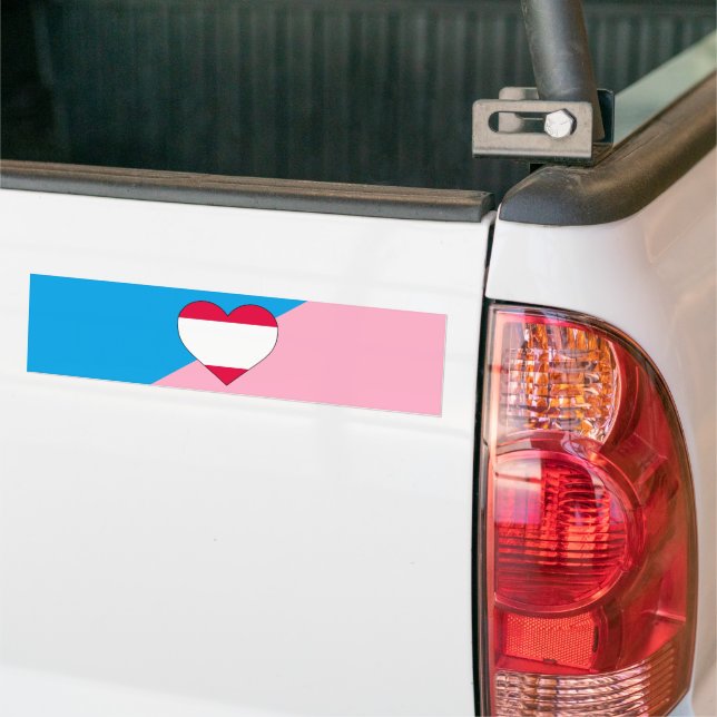 Age Play Pride Flag Bumper Sticker (On Truck)