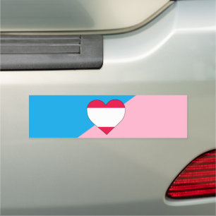Age Play Pride Flag Car Magnet