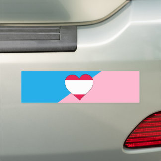 Age Play Pride Flag Car Magnet