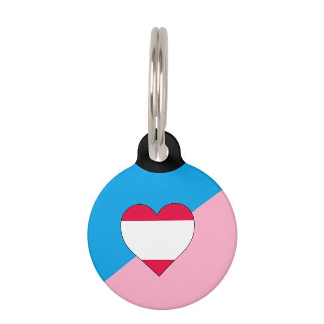 Age Play Pride Flag Pet ID Tag (Front)