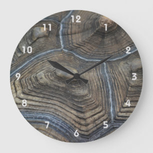 Aged Tortoiseshell Photographic Large Clock