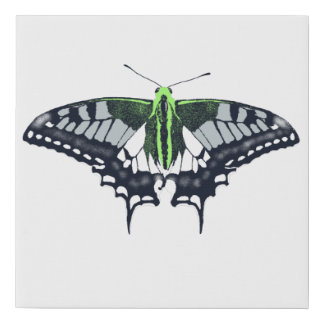 Agender Flag Swallowtail Butterfly Faux Canvas Print