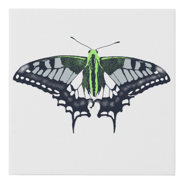 Agender Flag Swallowtail Butterfly Faux Canvas Print (Front)