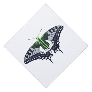 Agender Flag Swallowtail Butterfly Graduation Cap Topper