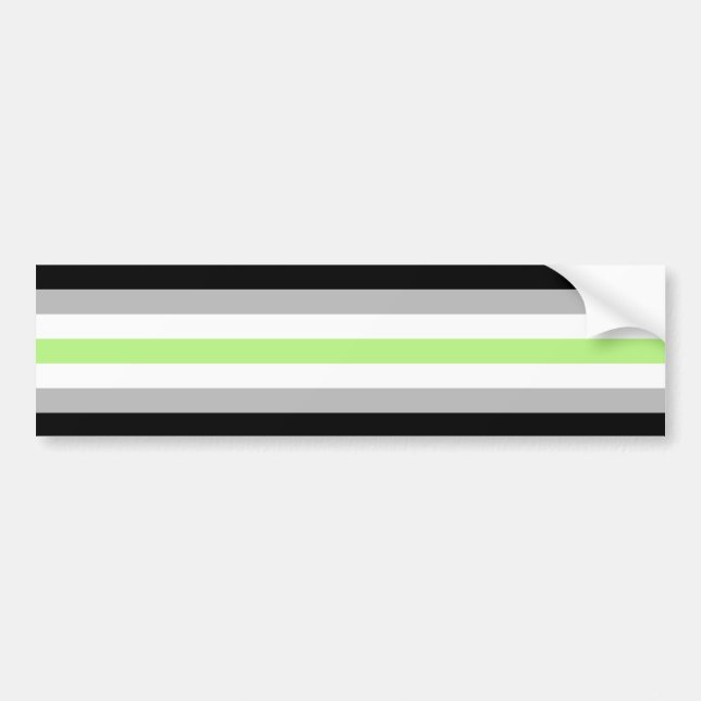 Agender Pride Flag Bumper Sticker (Front)