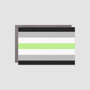 Agender Pride Flag Car Magnet