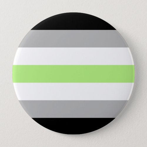 Agender Pride Flag Pinback Button