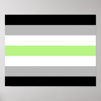 Agender Pride Flag Poster