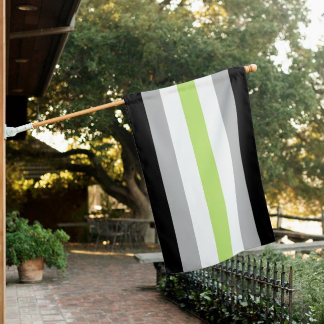 Agender Pride House Flag (In SItu)