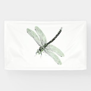 Agender Pride Vintage Dragonfly Art Banner