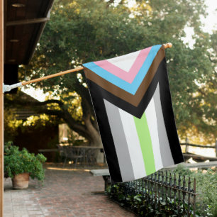 Agender Progress Pride Flag