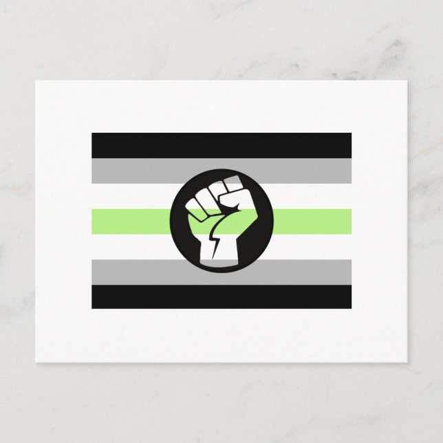 Agender Protest Flag Postcard (Front)