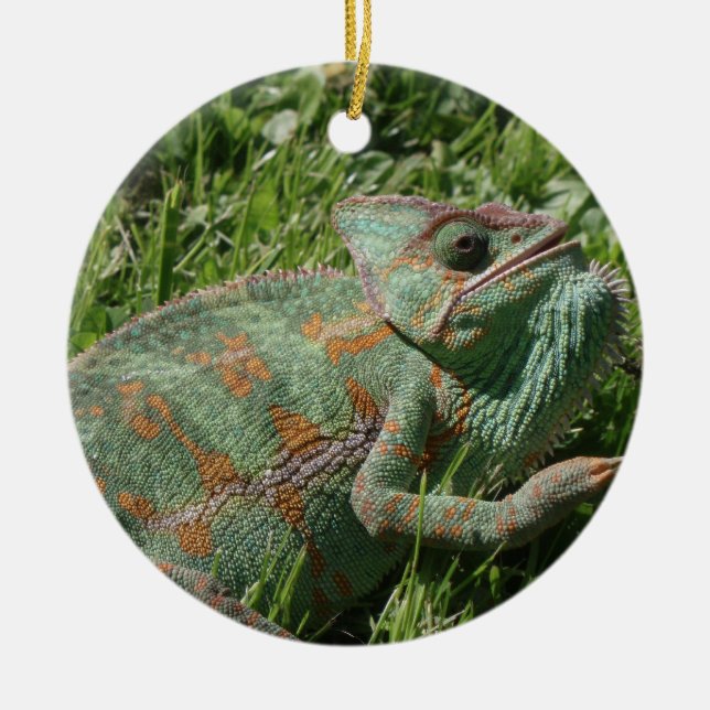 Aggressive Chameleon Ornament (Front)