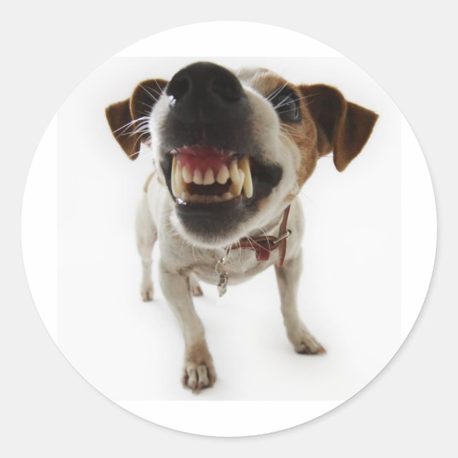 aggressive classic round sticker (Front)