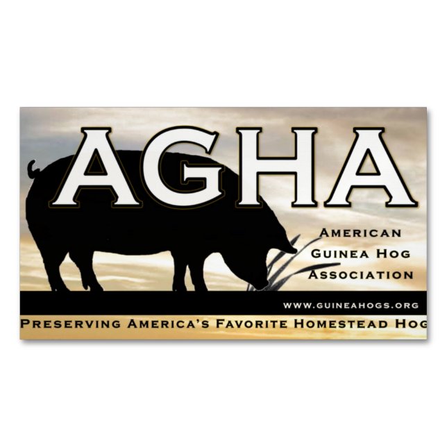 AGHA color magnet (Front)