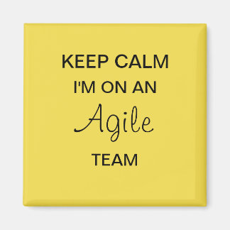 Agile Scrum Magnet
