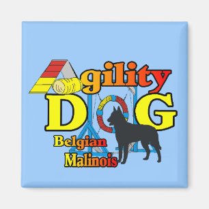 Agility Belgian Malinois Gifts Magnet
