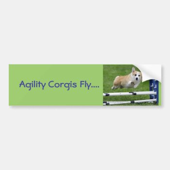 Agility Corgis Fly Bumper Sticker by woodlandesigns at Zazzle