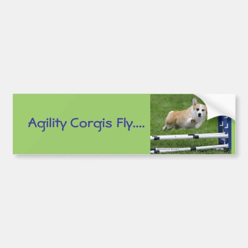Agility Corgis Fly Bumper Sticker