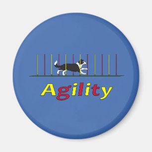 Agility dog magnet