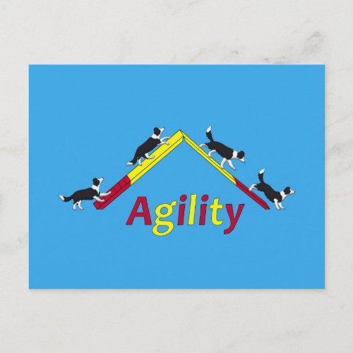Agility dog postcard