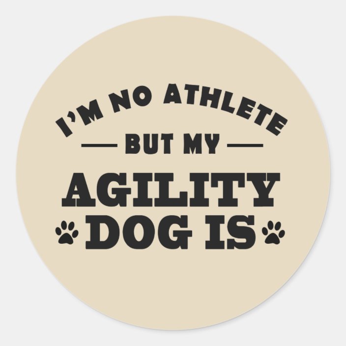 dog agility gifts
