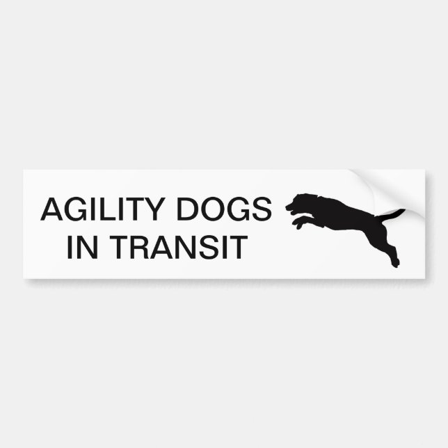 Agility Dogs In Transit Car Sticker (Front)