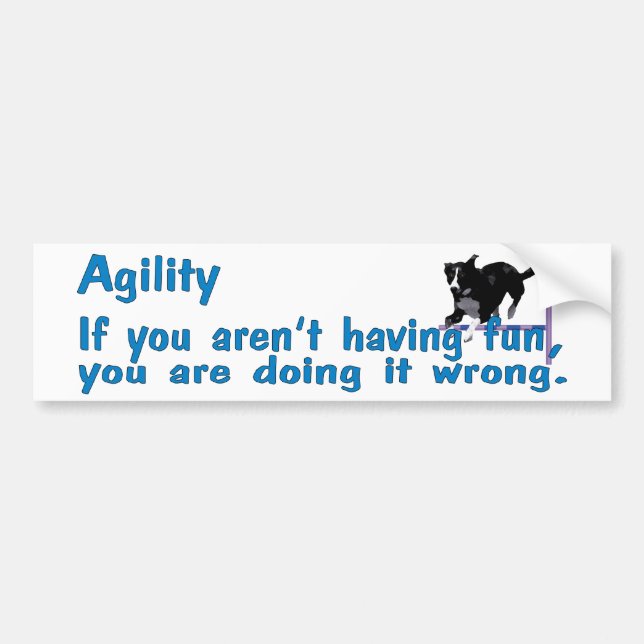 Agility Have Fun Bumper Sticker (Front)