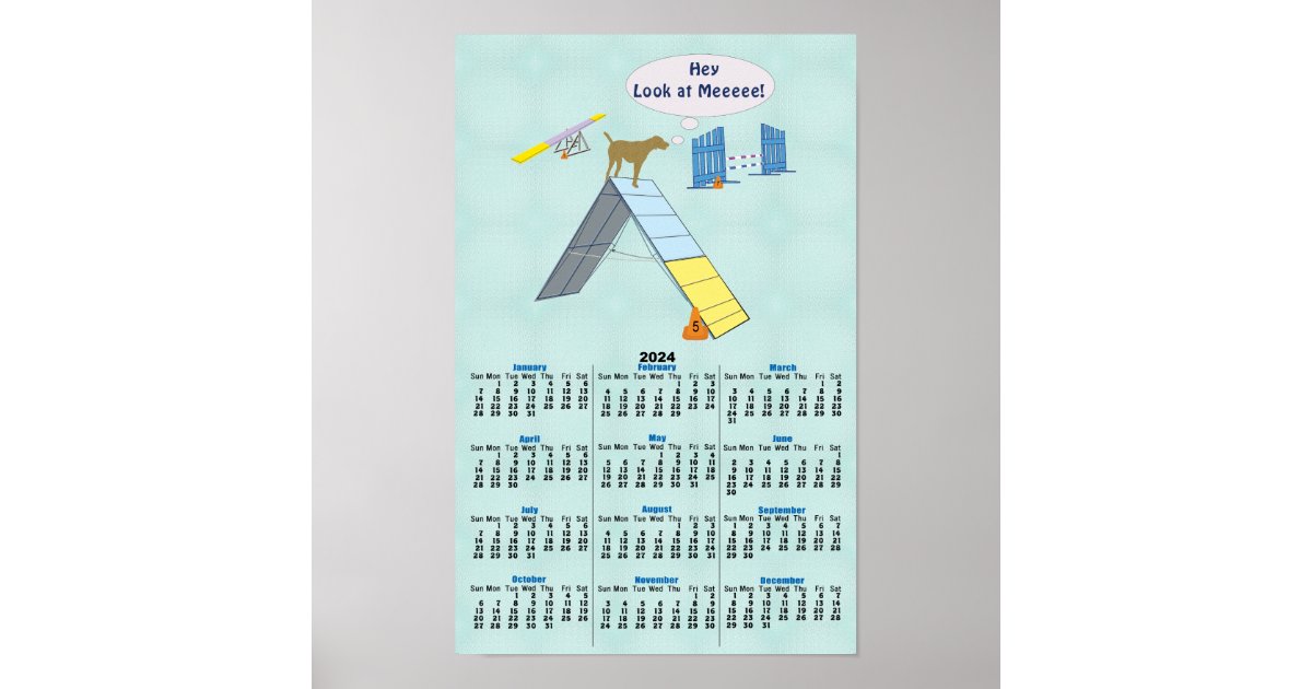 Agility Look At Meeee 2024 Calendar Poster Zazzle