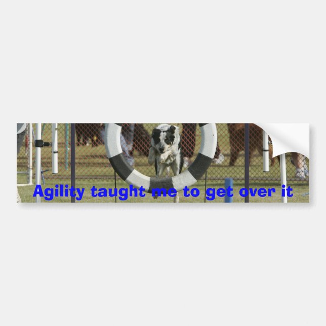Agility taught me to get over it bumper sticker (Front)