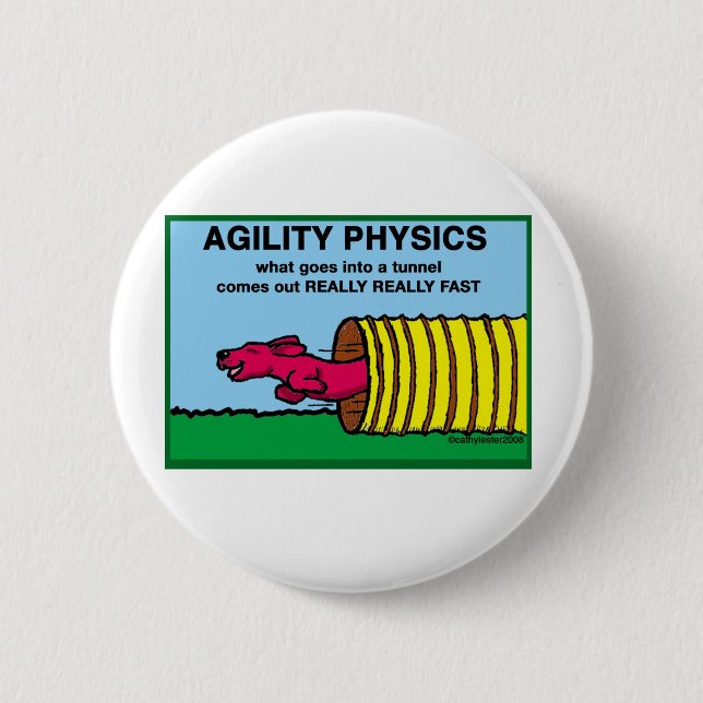 AgilityPhysics Pinback Button (Front)