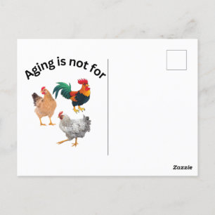 Aging is Not for Chickens. chickens, humor, funny Postcard