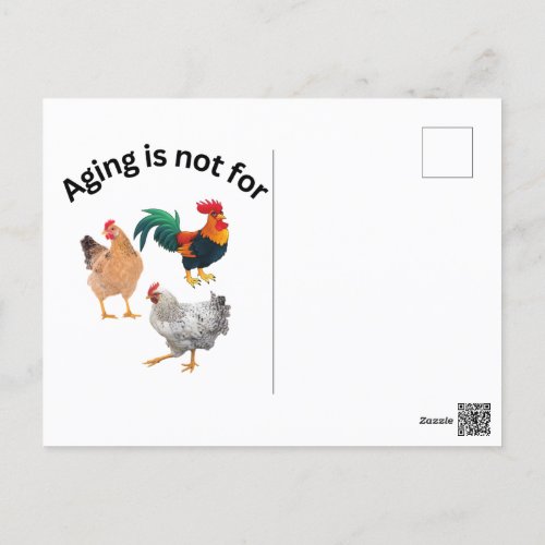 Aging is Not for Chickens chickens humor funny Postcard