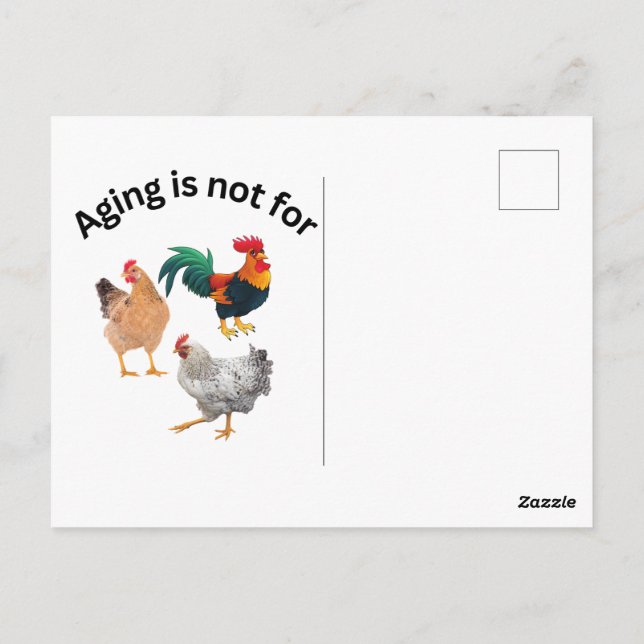 Aging is Not for Chickens. chickens, humor, funny Postcard (Back)